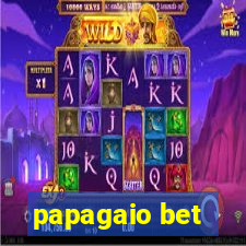 papagaio bet